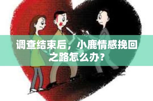 调查结束后，小鹿情感挽回之路怎么办？