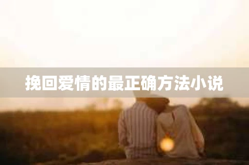 挽回爱情的最正确方法小说