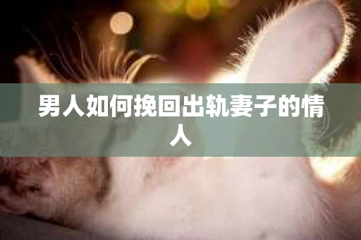 男人如何挽回出轨妻子的情人