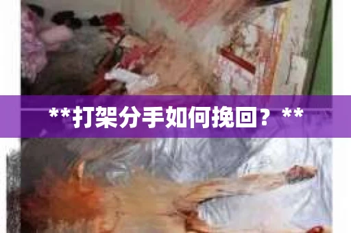 **打架分手如何挽回？**