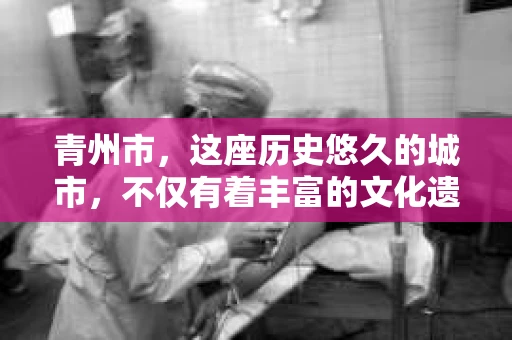 青州市，这座历史悠久的城市，不仅有着丰富的文化遗产，也有着现代生活的便捷。那么，问题来了——青州市有私家侦探公司吗？这个问题，对于需要侦探服务的人来说，无疑至关重要。接下来，我就来为大家揭开这个谜底。