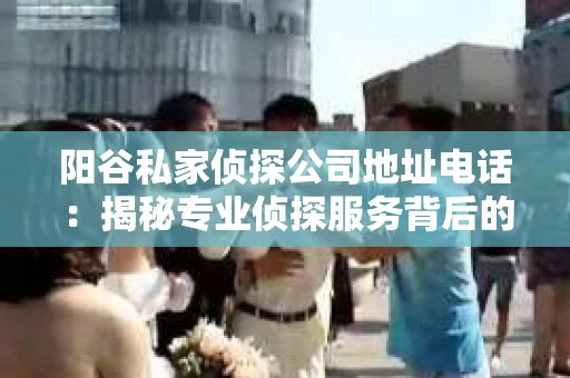 阳谷私家侦探公司地址电话：揭秘专业侦探服务背后的故事
