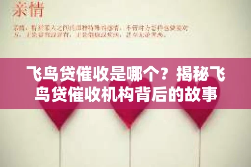 飞鸟贷催收是哪个？揭秘飞鸟贷催收机构背后的故事