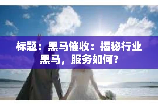 标题：黑马催收：揭秘行业黑马，服务如何？