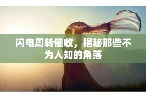 闪电周转催收，揭秘那些不为人知的角落