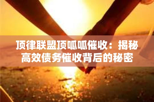 顶律联盟顶呱呱催收：揭秘高效债务催收背后的秘密