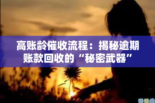 高账龄催收流程：揭秘逾期账款回收的“秘密武器”