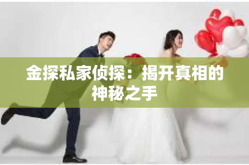 金探私家侦探：揭开真相的神秘之手