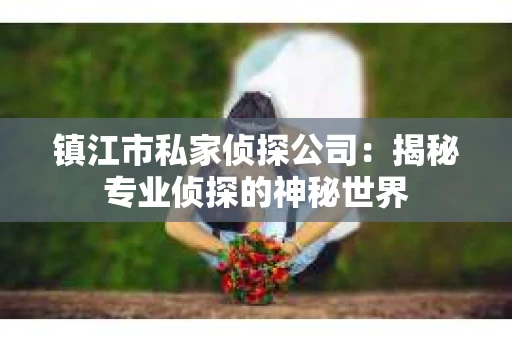 镇江市私家侦探公司：揭秘专业侦探的神秘世界