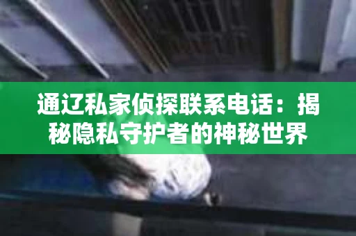 通辽私家侦探联系电话：揭秘隐私守护者的神秘世界