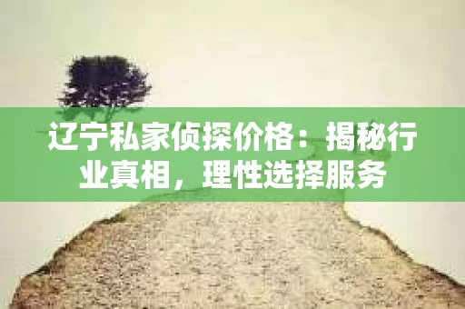 辽宁私家侦探价格：揭秘行业真相，理性选择服务