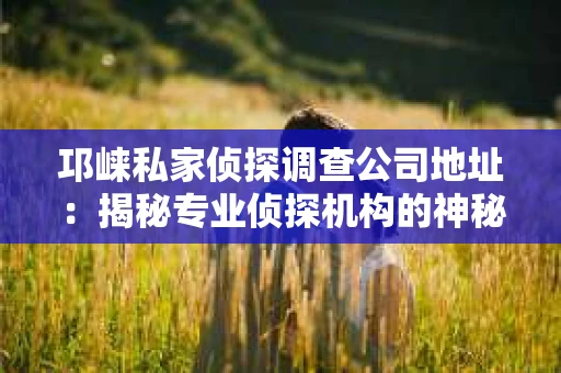 邛崃私家侦探调查公司地址：揭秘专业侦探机构的神秘面纱