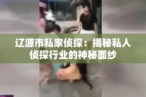 辽源市私家侦探：揭秘私人侦探行业的神秘面纱
