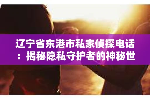 辽宁省东港市私家侦探电话：揭秘隐私守护者的神秘世界