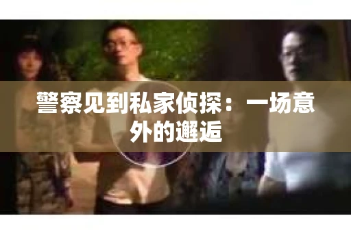警察见到私家侦探：一场意外的邂逅