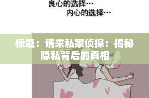 标题：请来私家侦探：揭秘隐私背后的真相
