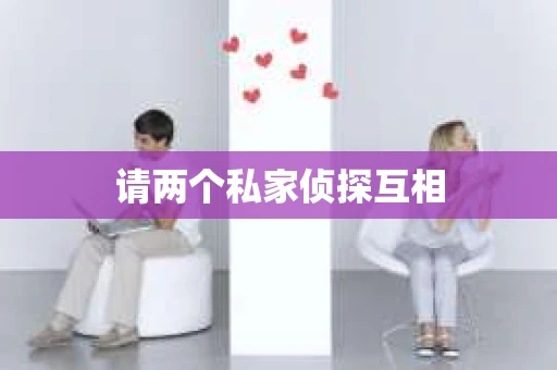 请两个私家侦探互相