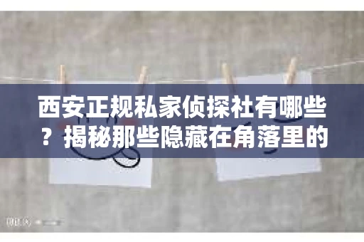 西安正规私家侦探社有哪些？揭秘那些隐藏在角落里的神秘力量