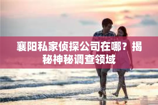 襄阳私家侦探公司在哪？揭秘神秘调查领域