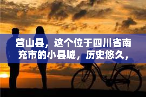 营山县，这个位于四川省南充市的小县城，历史悠久，风景秀丽。但在这个宁静的小县城里，你是否会好奇，有没有私家侦探的存在呢？今天，我就来和大家聊聊这个话题。