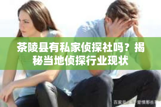 茶陵县有私家侦探社吗？揭秘当地侦探行业现状