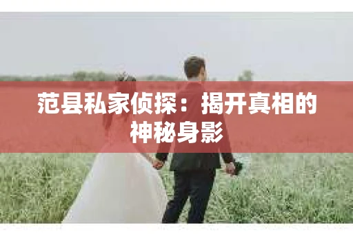 范县私家侦探：揭开真相的神秘身影