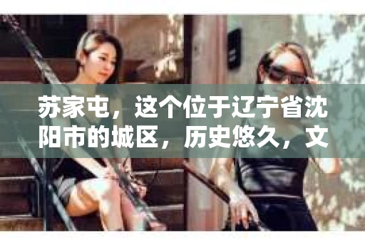 苏家屯，这个位于辽宁省沈阳市的城区，历史悠久，文化底蕴深厚。近年来，随着社会的发展，人们对于私家侦探的需求也逐渐增加。那么，苏家屯有私家侦探吗？今天，我们就来聊聊这个话题。