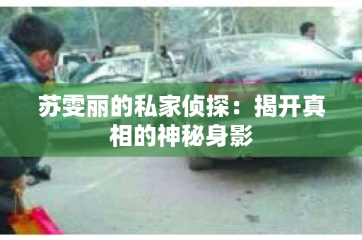 苏雯丽的私家侦探：揭开真相的神秘身影