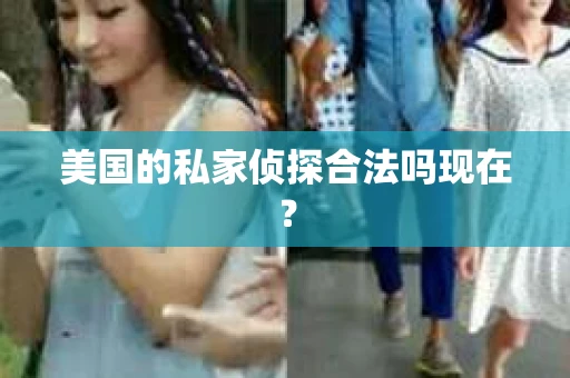 美国的私家侦探合法吗现在？