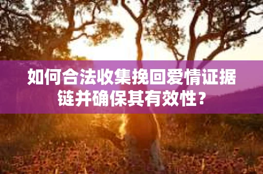 如何合法收集挽回爱情证据链并确保其有效性？