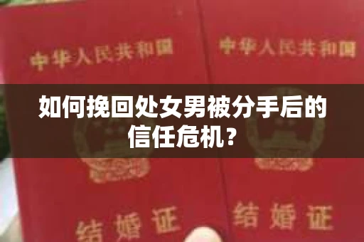 如何挽回处女男被分手后的信任危机? 如何挽回处女男被分手后的信任危机?