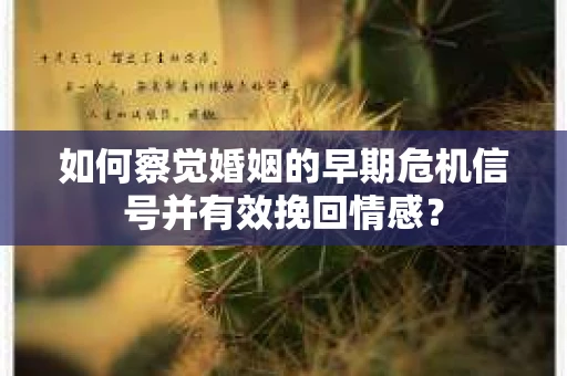 如何察觉婚姻的早期危机信号并有效挽回情感？
