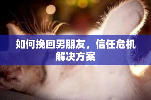 如何挽回男朋友，信任危机解决方案