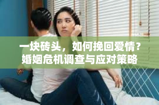 一块砖头,如何挽回爱情?婚姻危机调查与应对策略 一块砖头,如何挽回爱情?婚姻危机调查与应对策略