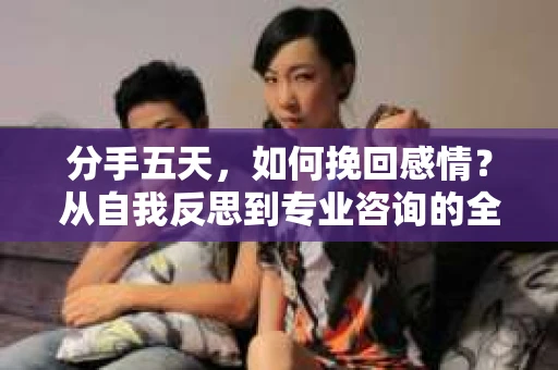 分手五天，如何挽回感情？从自我反思到专业咨询的全面解决方案