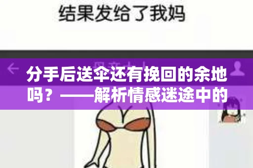 分手后送伞还有挽回的余地吗？——解析情感迷途中的决策
