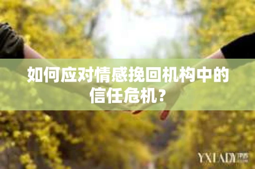 如何应对情感挽回机构中的信任危机？