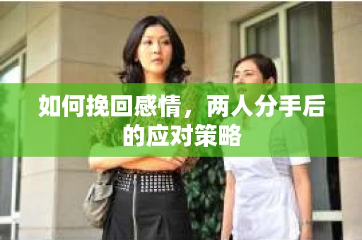 如何挽回感情,两人分手后的应对策略 如何挽回感情,两人分手后的应对策略