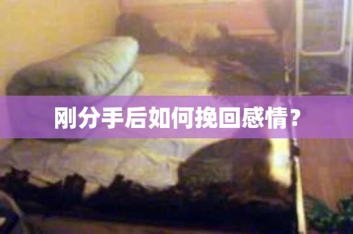 刚分手后如何挽回感情？